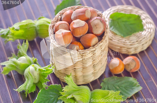 Image of hazelnuts