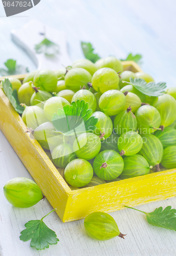 Image of gooseberry