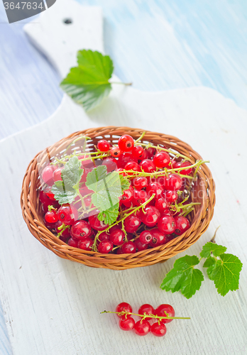 Image of red currant