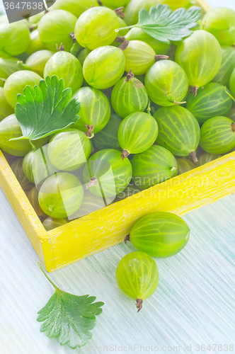 Image of gooseberry