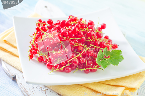 Image of red currant