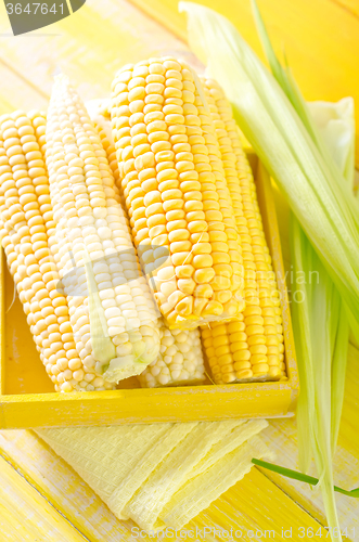 Image of sweet corn