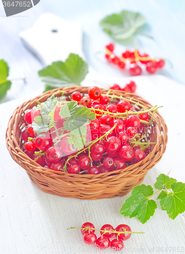 Image of red currant