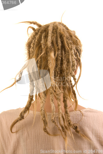 Image of rasta wig