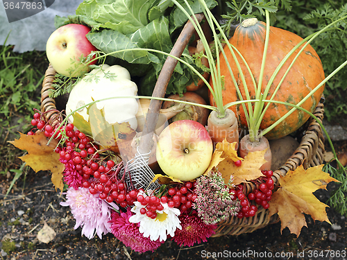 Image of Fruit and vegetable in basket