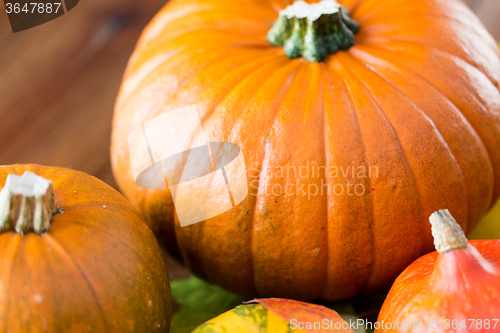 Image of close up of pumpkins on wooden table at home