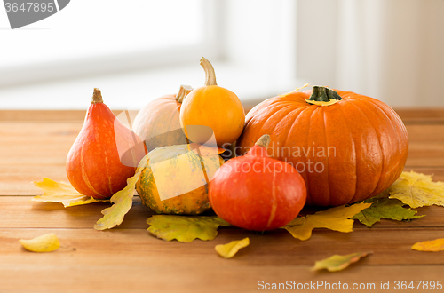 Image of close up of pumpkins on wooden table at home