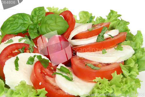 Image of Italian salad