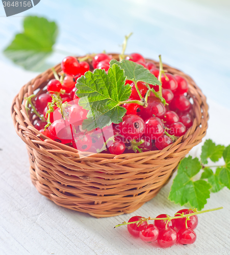 Image of red currant