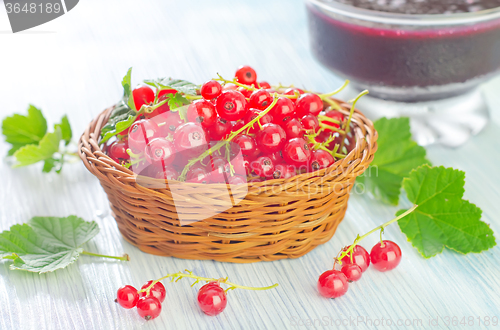 Image of red currant