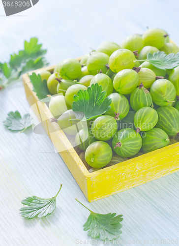 Image of gooseberry