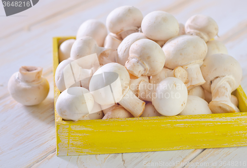 Image of raw mushroom