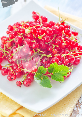 Image of red currant