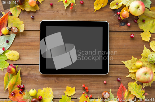 Image of tablet pc with autumn leaves, fruits and berries