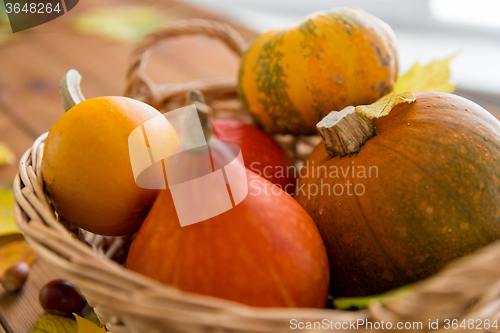 Image of close up of pumpkins in basket on wooden table