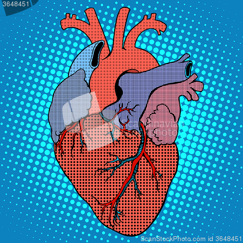 Image of Anatomy human heart retro style