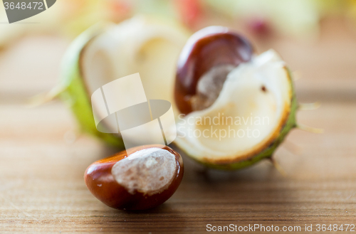 Image of close up of chestnut on wooden table