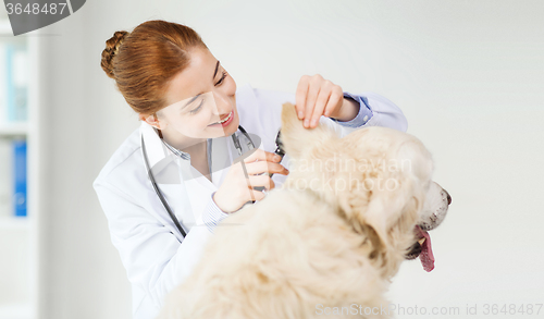 Image of happy doctor with otoscope and dog at vet clinic