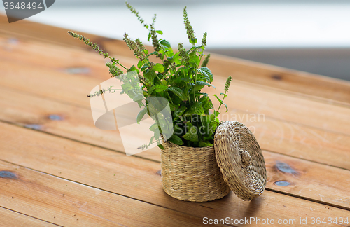 Image of close up of melissa in basket on wooden table