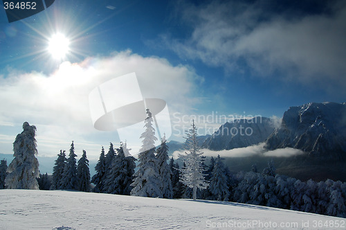 Image of Winter heaven