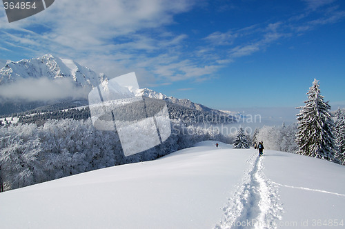 Image of Path of snow