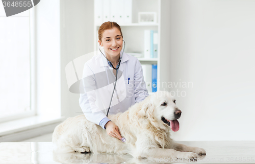 Image of happy woman with dog and doctor at vet clinic