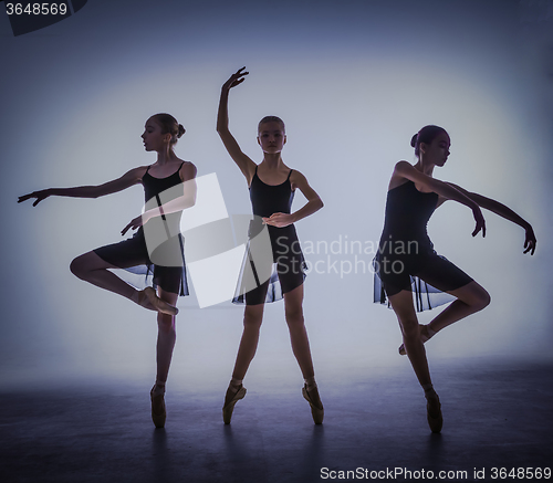 Image of The silhouettes of young ballet dancers posing on a gray background.