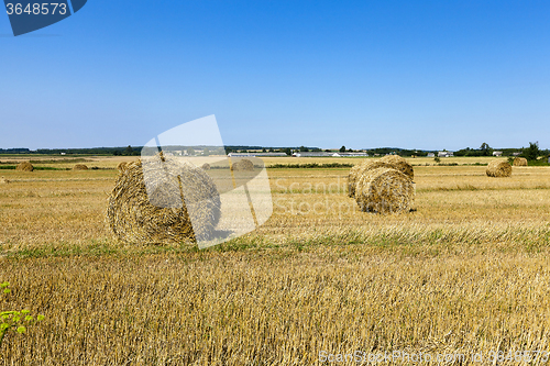Image of Stack of straw 