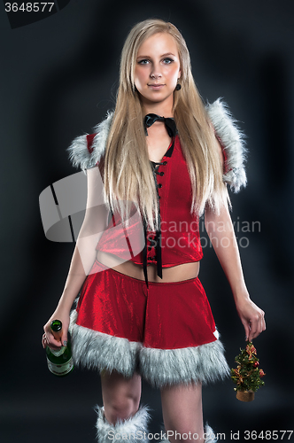 Image of Sexy Santa girl with wine bottle