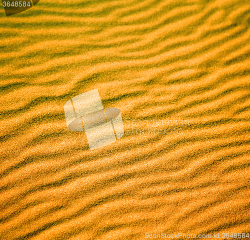 Image of africa the brown sand dune in   sahara morocco desert line