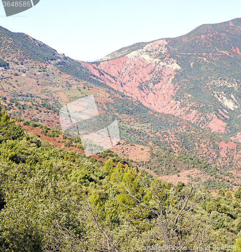 Image of the    dades valley in atlas moroco africa ground tree  and nobo