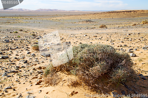 Image of  old fossil in  the desert of rock  stone sky