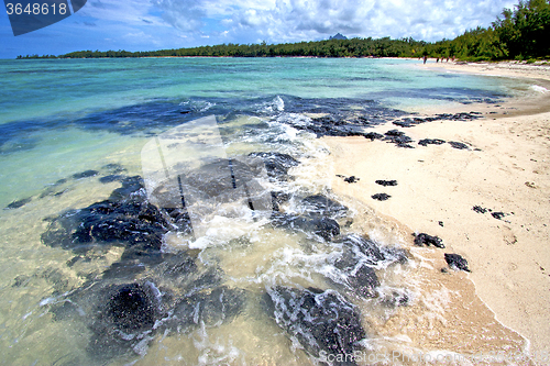 Image of beach ile du cerfs seaweed in indian 