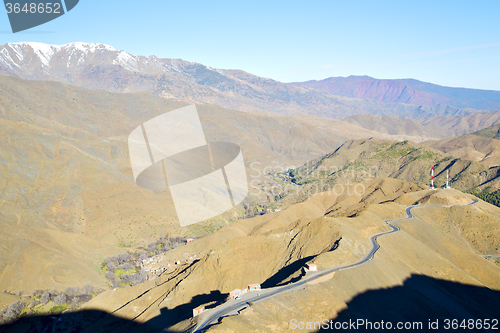 Image of in ground   morocco the bush  dry atlas mountain