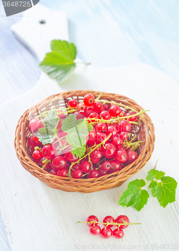 Image of red currant