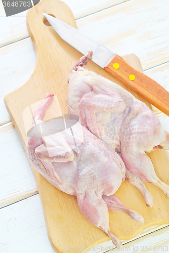 Image of raw quail