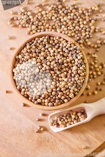 Image of coriander