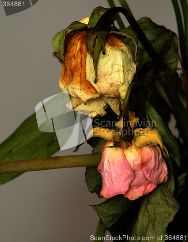Image of withered bouquet