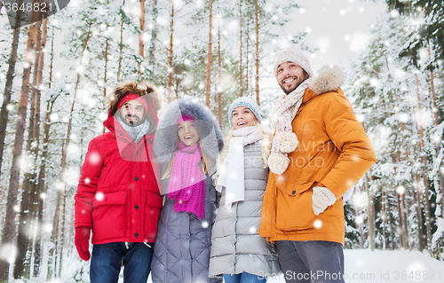 Image of group of smiling men and women in winter forest