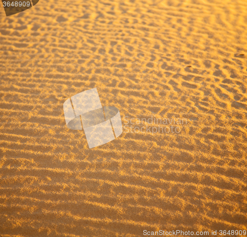 Image of africa the brown sand dune in   sahara morocco desert line