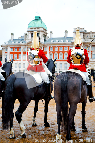 Image of in london england horse and  