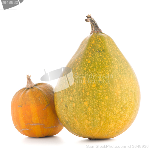 Image of Pumpkins