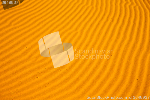 Image of africa the   sand dune in     morocco desert line