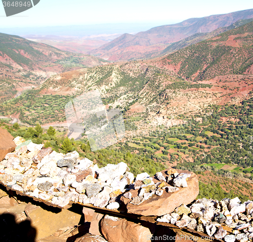 Image of the    dades valley in atlas moroco africa ground tree  and nobo