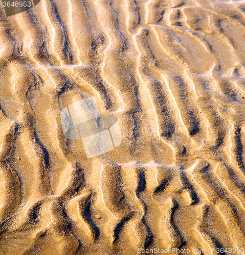 Image of dune morocco in africa brown coastline wet sand beach near atlan