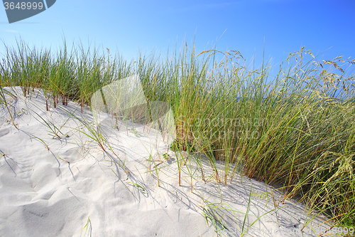 Image of Sand dunes with grass and blue sky