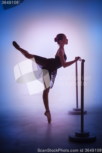 Image of The young ballerina stretching on the bar 