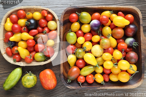 Image of Tomatoes.