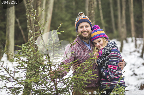 Image of Young pair with a christmas tree in the forest