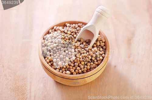 Image of coriander